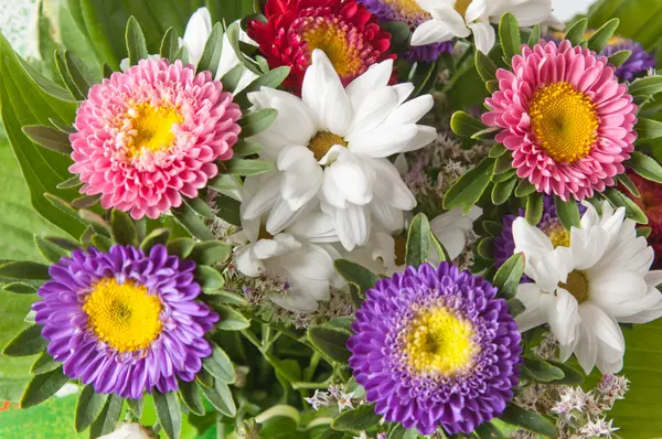 Bouquet of multi-coloured summer flowers — Stock Photo, Image