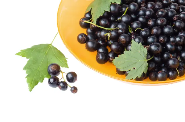 Berries of a black currant and leaves on a yellow plate, it is i — Stock Photo, Image