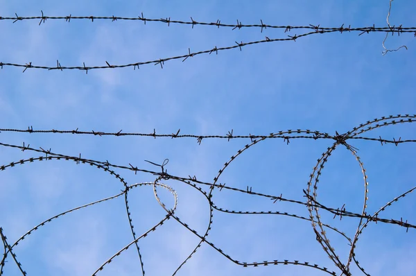 stock image Barbed wire against the blue sky