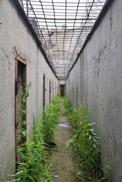 Antigua prisión Soviética en Tallin — Foto de Stock