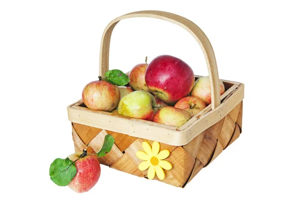 Cesta arrugada llena de manzanas maduras —  Fotos de Stock