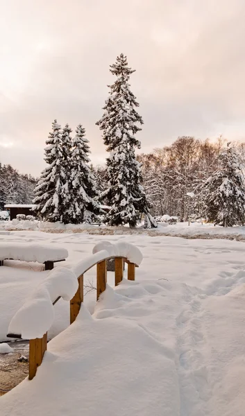 Зимовий сніговий парк — стокове фото