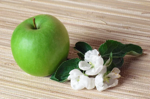 Green apple and blossoming branch — Stock Photo, Image