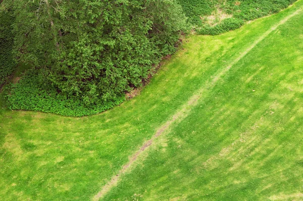 stock image The top view on a green lawn