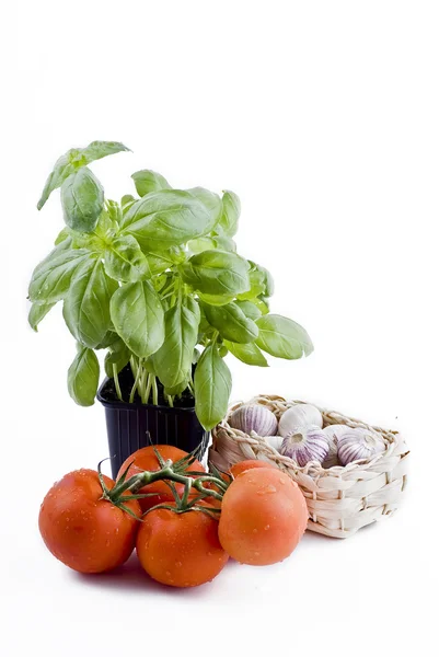 Legumes frescos - manjericão, tomates, cesta de alho — Fotografia de Stock
