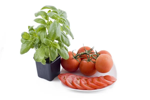 Frisches Basilikum und Teller mit Tomaten — Stockfoto