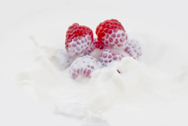 Raspberry dropped into the milk — Stock Photo, Image