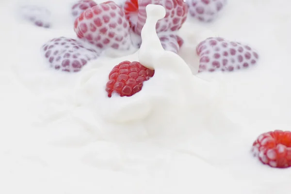 Raspberry dropped into the milk — Stock Photo, Image