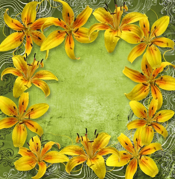 Letní květina rámec — Stock fotografie