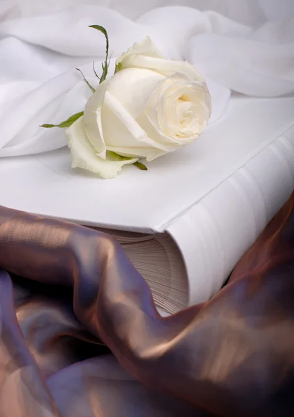 Wedding Rose — Stock Photo, Image