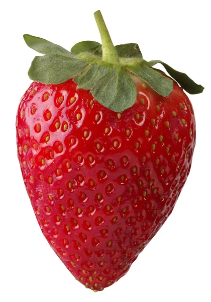 çilek