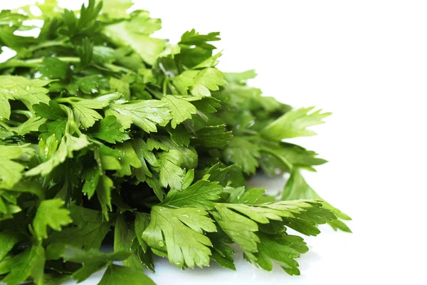 stock image Parsley