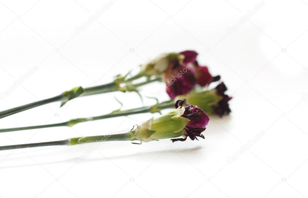 Death flowers