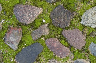 Stones between moss