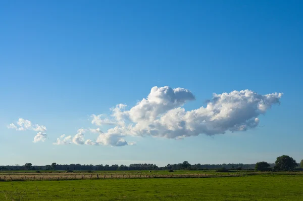 stock image Big cloud on blue sky with horizon