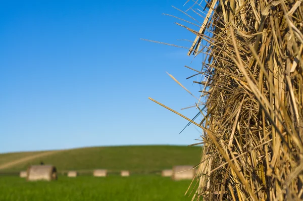 stock image Hay on blue sky