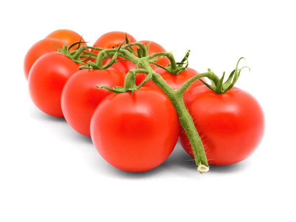 Frische Tomate isoliert auf weißem Hintergrund — Stockfoto