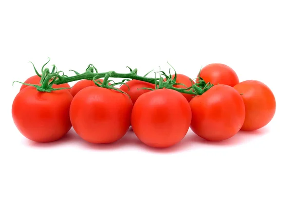 Beyaz arkaplanda izole edilmiş taze domates — Stok fotoğraf
