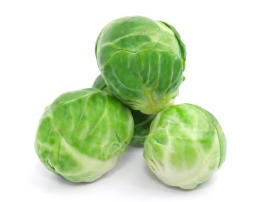 Cabbage clipart