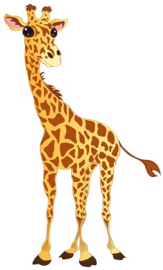 Giraffe clipart