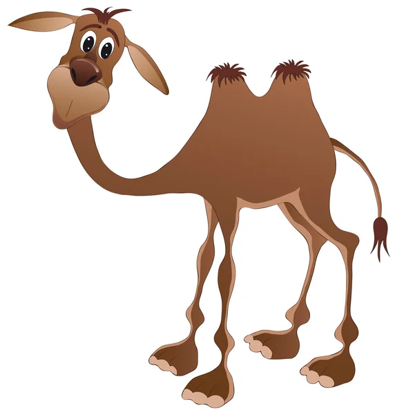 Camello. — Archivo Imágenes Vectoriales