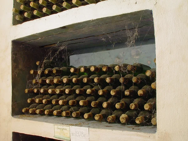 stock image Wine bottles in the cellar