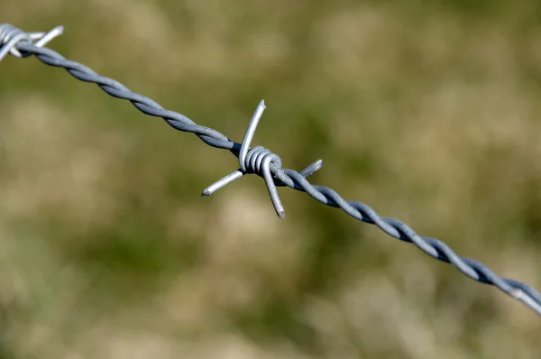 stock image Barb wire