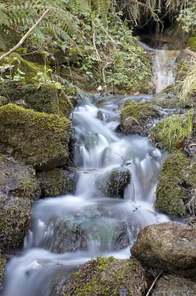 stock image Waterfall