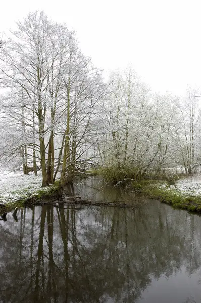 Flusso invernale — Foto Stock