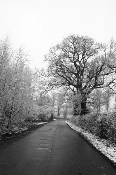 Camino de invierno Imagen de stock