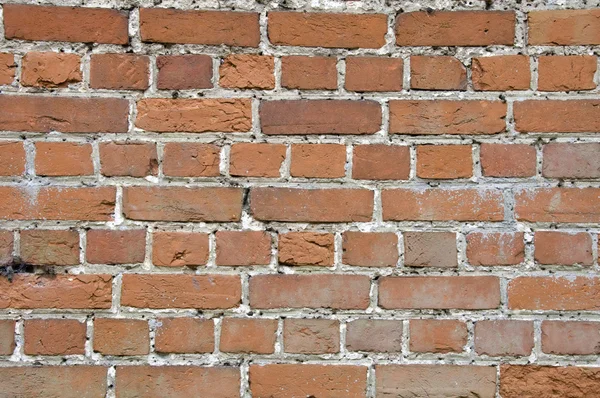 stock image Brickwall