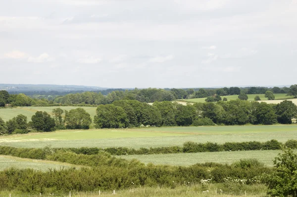 Kent platteland — Stockfoto