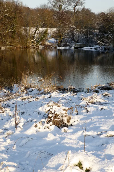 Зимнее озеро — стоковое фото