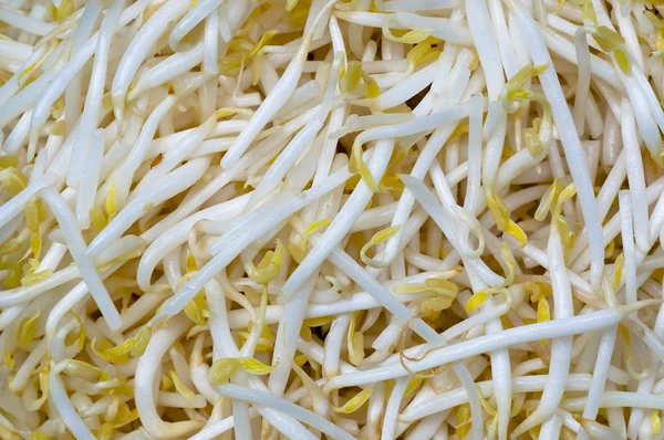 Chinese sprout bean — Stock Photo, Image