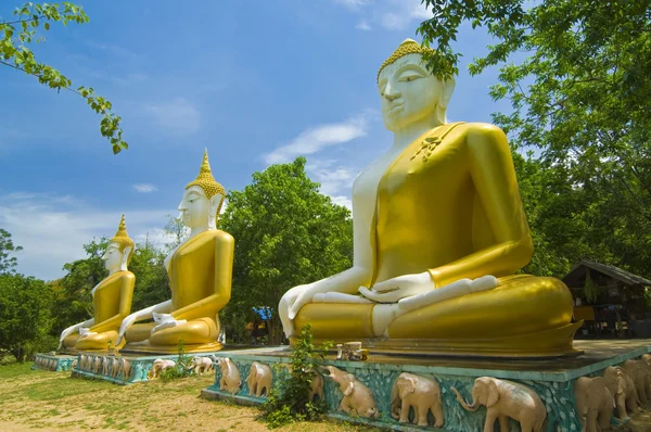 Buda görüntü — Stok fotoğraf