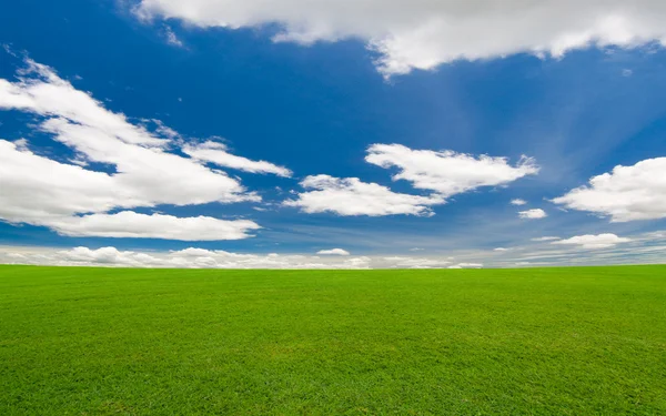 Zöld mező a kék ég alatt — Stock Fotó