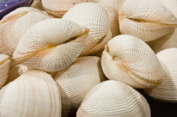 Yumuşakça, kabuklu deniz ürünleri — Stok fotoğraf