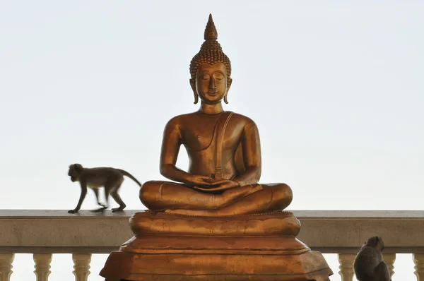 Image of buddha — Stock Photo, Image