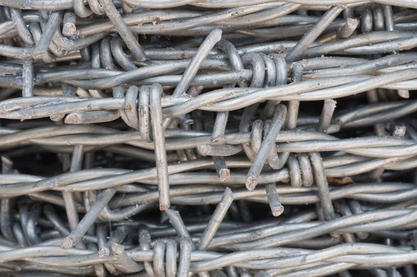 stock image Barbed wire