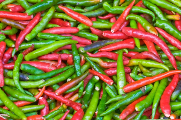 stock image Fresh chili