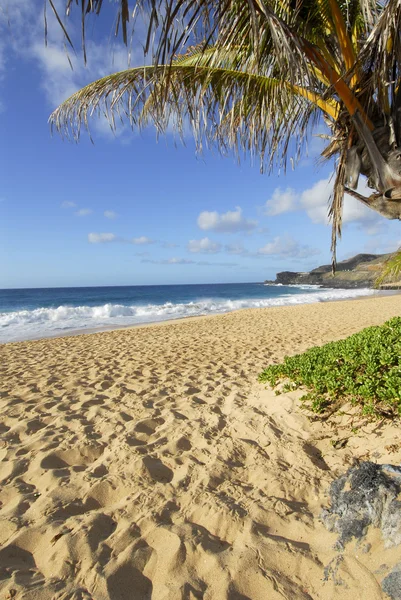 stock image The Beach