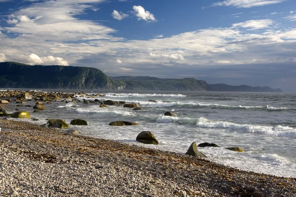 Stock image Pebble beach