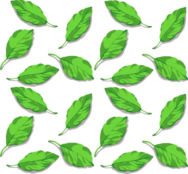 Groene bladeren op witte achtergrond — Stockvector