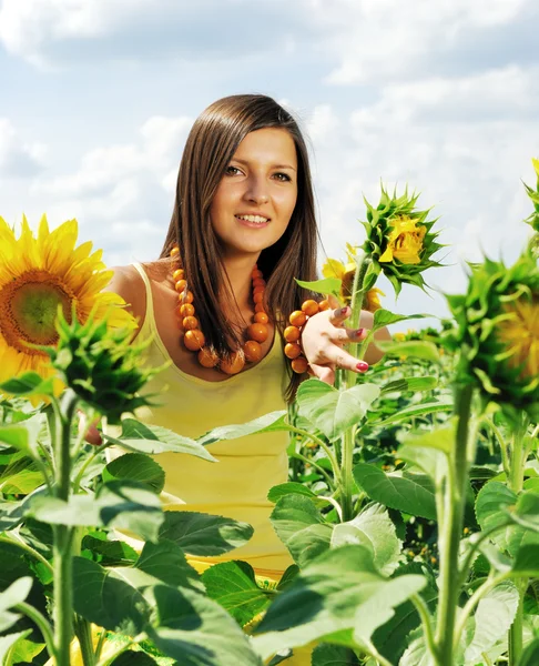 stock image Beauty and sunflowers