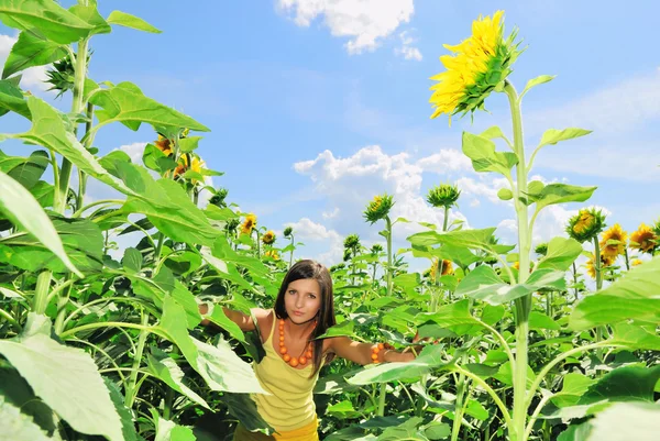 Beauty girl in a sunflowers — Stock Photo, Image