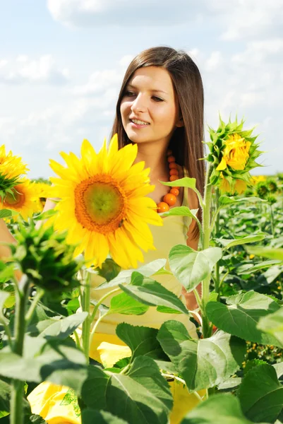 stock image Beautiful girl among the sunflowers