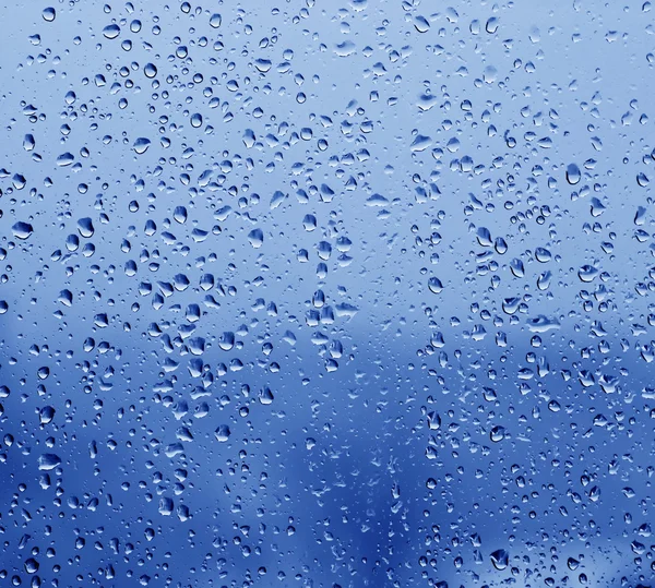 stock image Rain drops on the window