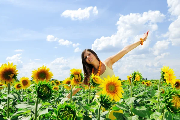 Beauty and sunflowers Stock Picture