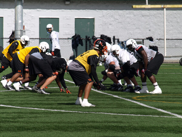 B.C. Lions Football team