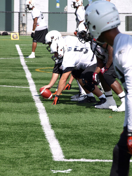 B.C. Lions Football team